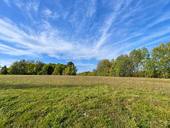 Prodej pozemku 5500 m², Horní Domaslavice