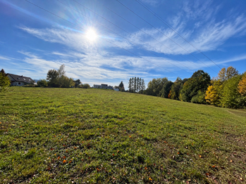 Prodej pozemku 5500 m², Horní Domaslavice