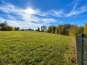 Prodej pozemku 5500 m², Horní Domaslavice