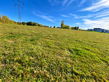 Prodej pozemku 5500 m², Horní Domaslavice