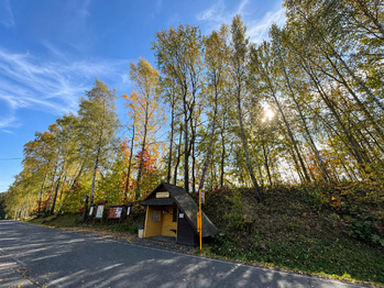 Prodej pozemku 5500 m², Horní Domaslavice