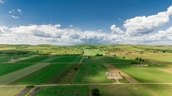 Prodej domu 145 m², Dolní Dunajovice