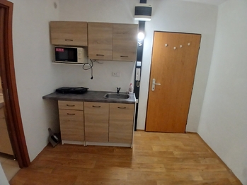 Pronájem bytu 2+kk v osobním vlastnictví 41 m², Litoměřice