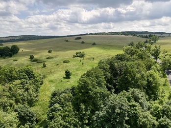 Prodej pozemku 1342 m², Petrovice