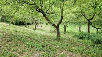 Prodej domu 102 m², Frýdek-Místek