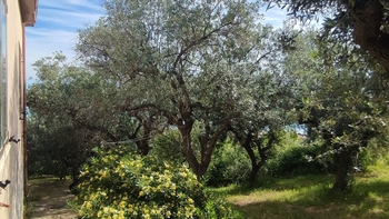 Prodej domu 229 m², Provincia di Teramo