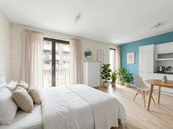 Prodej bytu 1+kk v osobním vlastnictví 34 m², Praha 3 - Žižkov