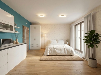 Prodej bytu 1+kk v osobním vlastnictví 34 m², Praha 3 - Žižkov