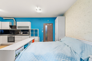 Prodej bytu 1+kk v osobním vlastnictví 34 m², Praha 3 - Žižkov