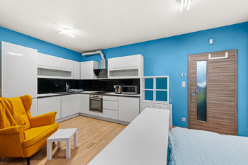 Prodej bytu 1+kk v osobním vlastnictví 34 m², Praha 3 - Žižkov