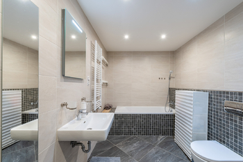 Prodej bytu 1+kk v osobním vlastnictví 34 m², Praha 3 - Žižkov