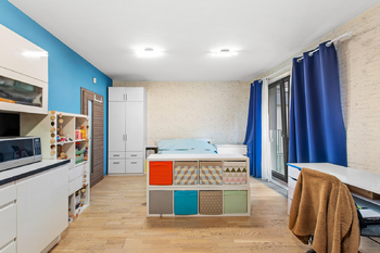 Prodej bytu 1+kk v osobním vlastnictví 34 m², Praha 3 - Žižkov