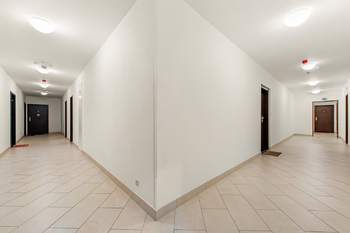 Prodej bytu 1+kk v osobním vlastnictví 34 m², Praha 3 - Žižkov