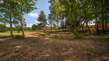 Prodej pozemku 32000 m², Cheb