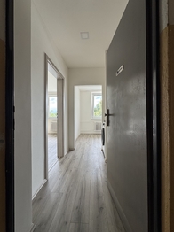 Pronájem bytu 1+1 v družstevním vlastnictví 33 m², Olomouc
