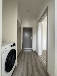 Pronájem bytu 1+1 v družstevním vlastnictví 33 m², Olomouc