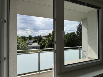 Pronájem bytu 1+1 v družstevním vlastnictví 33 m², Olomouc
