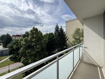 Pronájem bytu 1+1 v družstevním vlastnictví 33 m², Olomouc