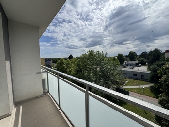 Pronájem bytu 1+1 v družstevním vlastnictví 33 m², Olomouc