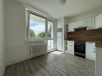 Pronájem bytu 1+1 v družstevním vlastnictví 33 m², Olomouc