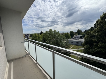 Pronájem bytu 1+1 v družstevním vlastnictví 33 m², Olomouc