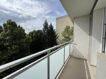 Pronájem bytu 1+1 v družstevním vlastnictví 33 m², Olomouc