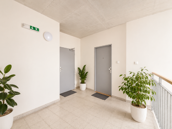 Pronájem bytu 2+kk v osobním vlastnictví 54 m², Plzeň