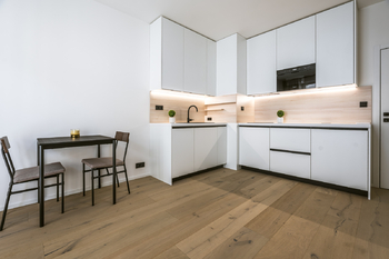KUCHYNSKY KOUT - Pronájem bytu 1+kk v osobním vlastnictví 26 m², Praha 10 - Vršovice