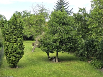 Pronájem bytu 2+1 v osobním vlastnictví 53 m², Slavkov u Brna