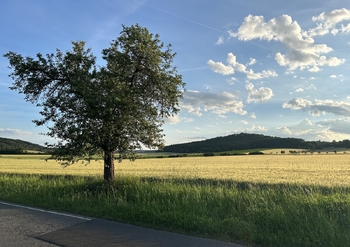 blízké okolí - cesta domů - Prodej domu 117 m², Chotilsko