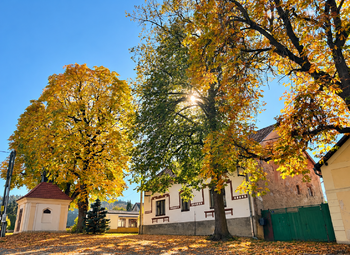 Dům pod lípou a kaštanem - Prodej domu 117 m², Chotilsko 