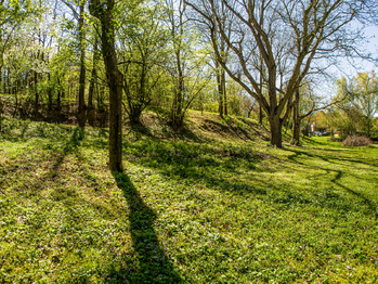 Prodej pozemku 1265 m², Tuklaty