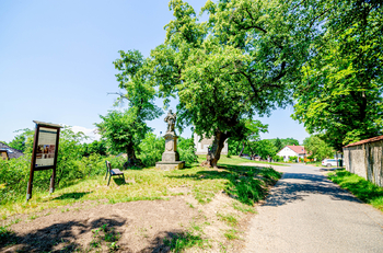 Prodej pozemku 1265 m², Tuklaty