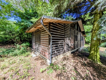chata na severní straně ... - Prodej pozemku 1590 m², Herálec