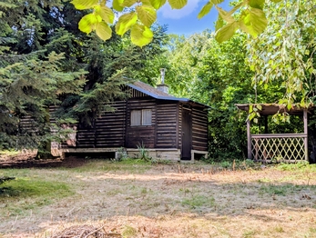 a okolo chatky ... - Prodej pozemku 1590 m², Herálec