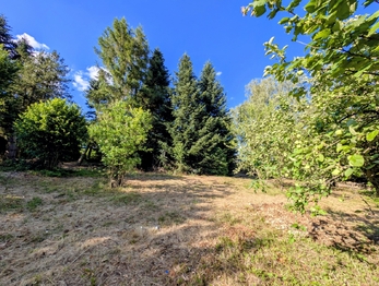 ten je mírně k jihu skloněný ... - Prodej pozemku 1590 m², Herálec