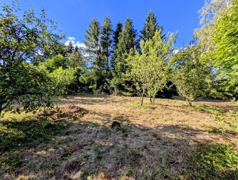 tak ještě jeden pohled ... - Prodej pozemku 1590 m², Herálec