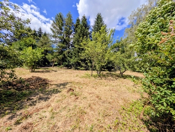 celý oplocený ... - Prodej pozemku 1590 m², Herálec