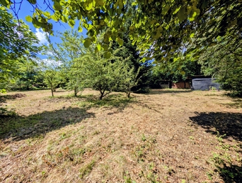 s porostem dřevin ... - Prodej pozemku 1590 m², Herálec