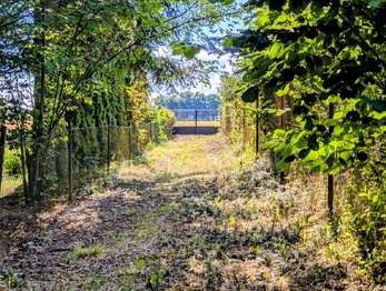 opět cesta ven ... - Prodej pozemku 1590 m², Herálec