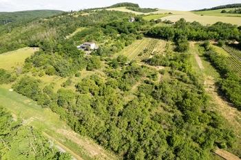 Prodej pozemku 2403 m², Moravské Bránice