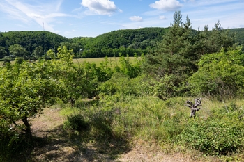 Prodej pozemku 2403 m², Moravské Bránice