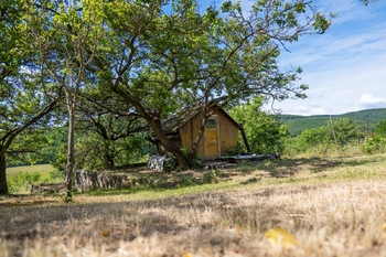 Prodej pozemku 2403 m², Moravské Bránice