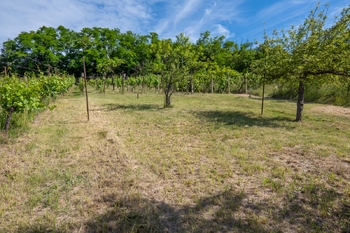 Prodej pozemku 2403 m², Moravské Bránice