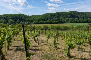 Prodej pozemku 2403 m², Moravské Bránice