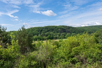 Prodej pozemku 2403 m², Moravské Bránice