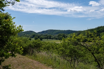 Prodej pozemku 2403 m², Moravské Bránice