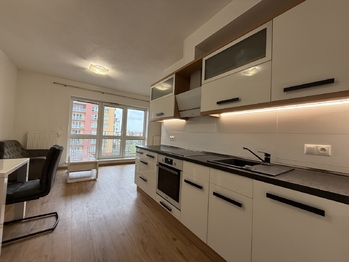 Pronájem bytu 1+kk v osobním vlastnictví 45 m², Plzeň