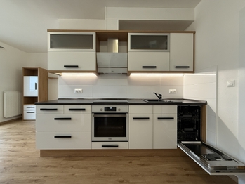 Pronájem bytu 1+kk v osobním vlastnictví 45 m², Plzeň