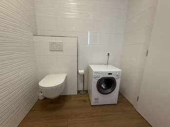 Pronájem bytu 1+kk v osobním vlastnictví 45 m², Plzeň